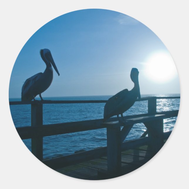 Blue Pelican/Sticker Classic Round Sticker (Front)