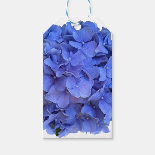 Blue periwinkle elegant floral hydrangeas  gift tags