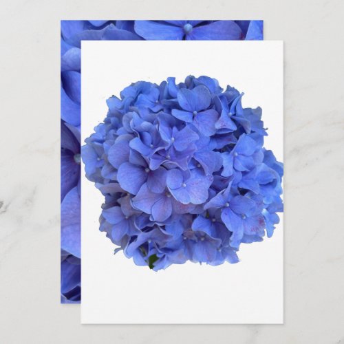 Blue periwinkle elegant floral hydrangeas  invitation