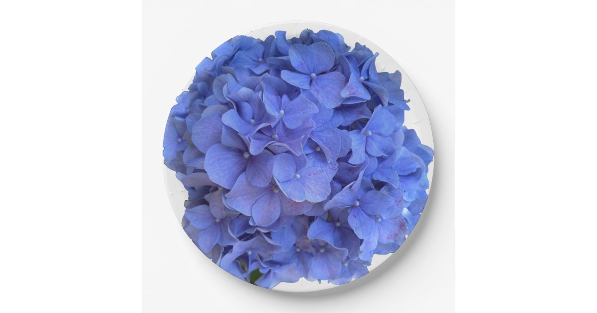 Blue periwinkle elegant floral hydrangeas paper plates | Zazzle