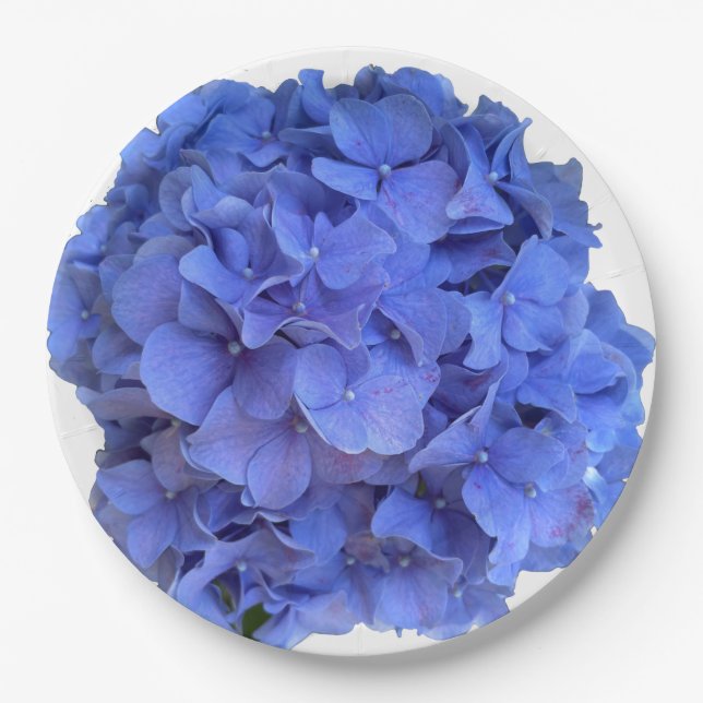 Blue periwinkle elegant floral hydrangeas  paper plates (Front)