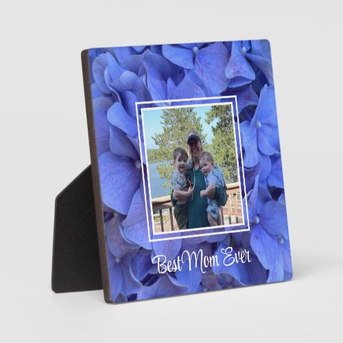 Blue periwinkle elegant floral hydrangeas  plaque