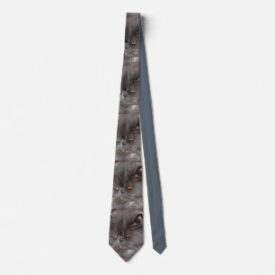 blue persian neck tie