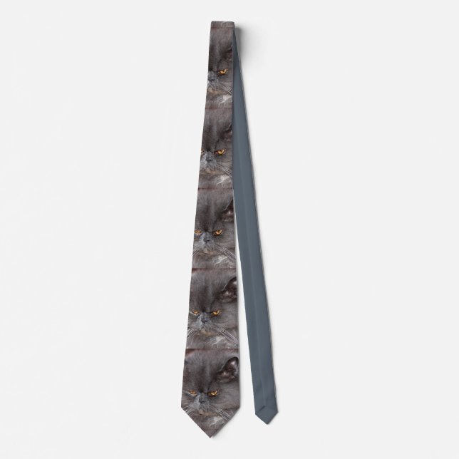 blue persian neck tie (Front)