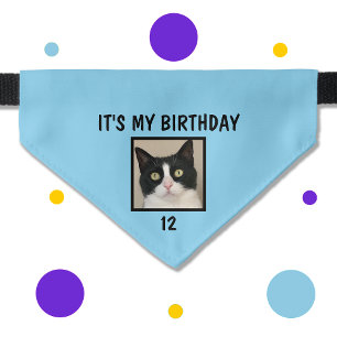 Blue Pet Cat Photo and Age Cat Birthday Pet Bandana Collar