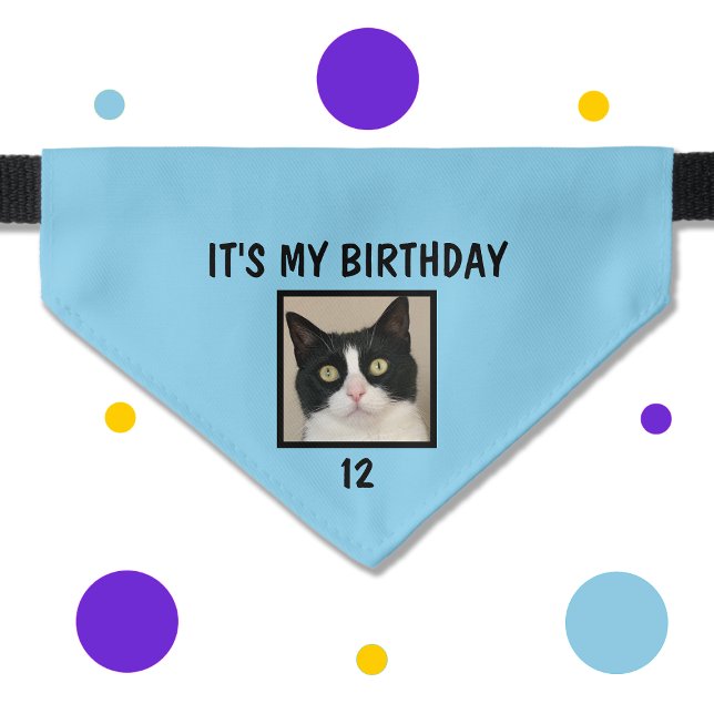Blue Pet Cat Photo and Age Cat Birthday Pet Bandana Collar (Creator Uploaded)