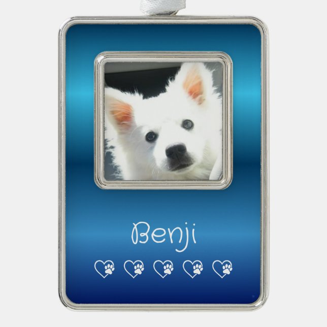 Blue Pet Photo Ornament - Vertical, Personalized Christmas Ornament (Front)