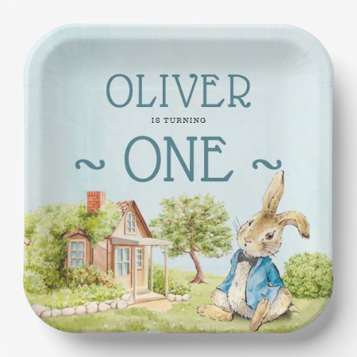 Blue Peter Rabbit  Boy First Birthday Paper Plates