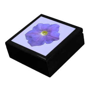 Blue Petunia Gift Box