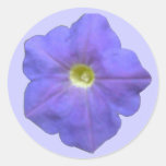 Blue Petunia Stickers