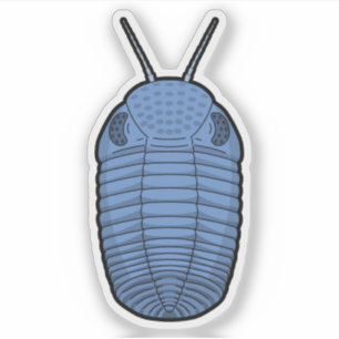 Blue Phacops Trilobite- Prehistoric Animal Vinyl Sticker