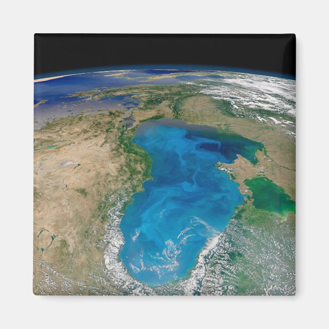Blue Phytoplankton Bloom In The Black Sea Magnet (Front)