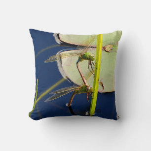 blue Pillow dragonfly, green eyes