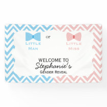 Blue, Pink Chevron Gender Reveal Bow and Bow Tie Banner