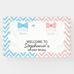 Blue, Pink Chevron Gender Reveal Bow and Bow Tie Banner