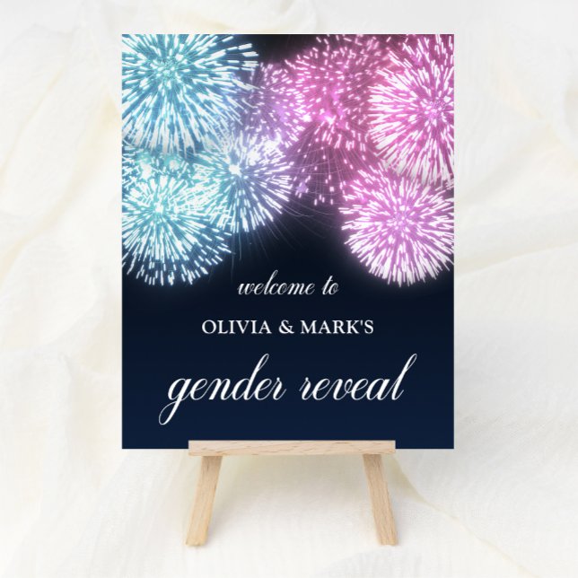 Blue Pink Firework Gender Reveal Welcome Poster (Creator Uploaded)