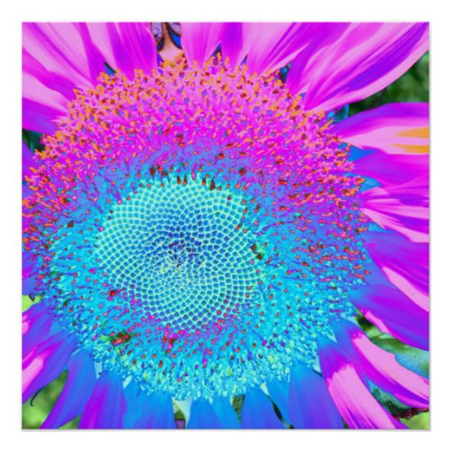 Blue pink funky floral retro sunflower photo poster