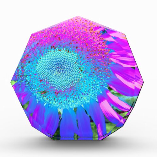 Blue pink funky retro sunflower photo award