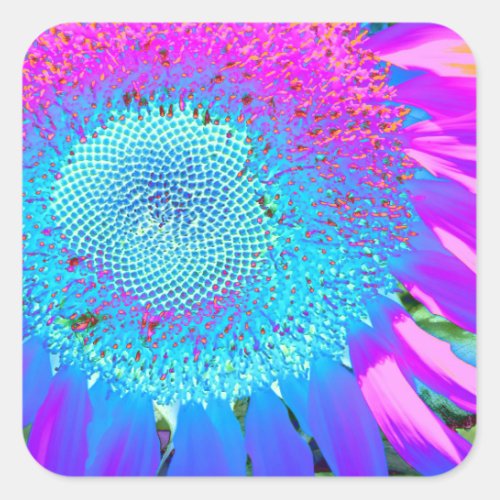 Blue pink funky retro sunflower photo square sticker