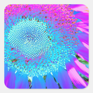 Blue pink funky retro sunflower photo square sticker