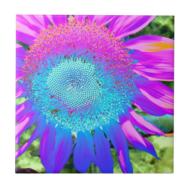Blue pink funky retro sunflower photo tile (Front)