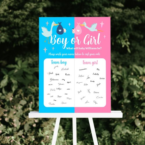 Blue Pink Gender Reveal Party Cast Your Vote Game Foam Board