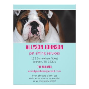 Blue & Pink Photo Pet Sitting Services Flyer's 1 Flyer by AllyJCat at Zazzle