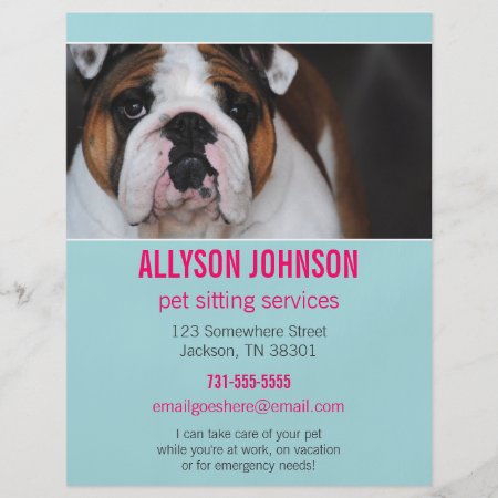 Blue & Pink Photo Pet Sitting Services Flyer's 1 Flyer