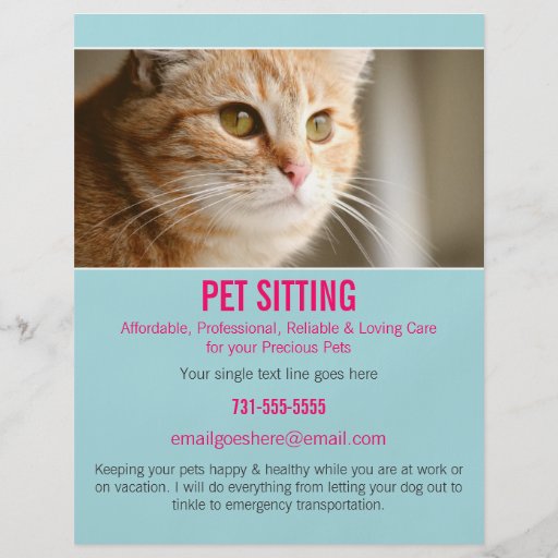 Blue & Pink Photo Pet Sitting Services flyer's 302 | Zazzle