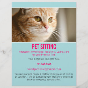 Blue & Pink Photo Pet Sitting Services flyer's 302 Flyer