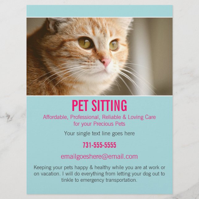 Blue & Pink Photo Pet Sitting Services flyer's 302 Flyer (Front)