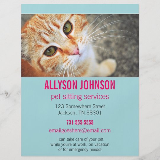 Pet Sitting Advertising Examples