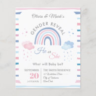 Blue pink rainbow rain shower pastel Gender Reveal