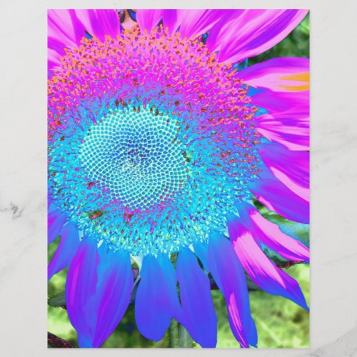 Blue pink retro funky sunflower photo