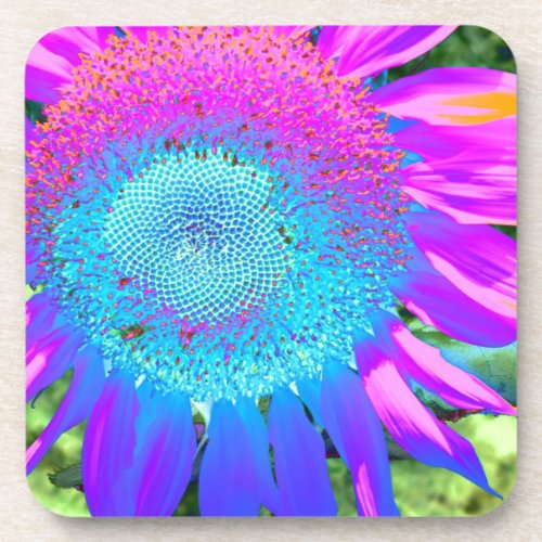 Blue pink retro funky sunflower photo beverage coaster