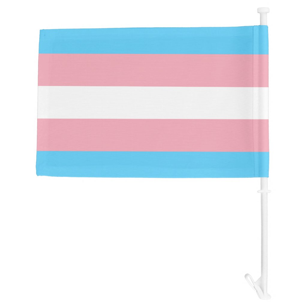 Blue Pink White Stripes LGBTQ+ Transgender Pride Car Flag