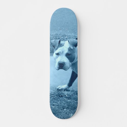 Blue Pit Bull Skateboard