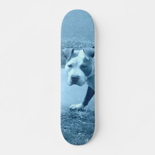 Blue Pit Bull Skateboard Deck