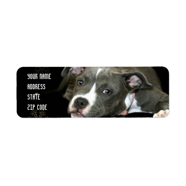 Blue pitbull puppy address labels (Front)
