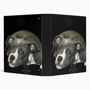 Blue pitbull puppy binder