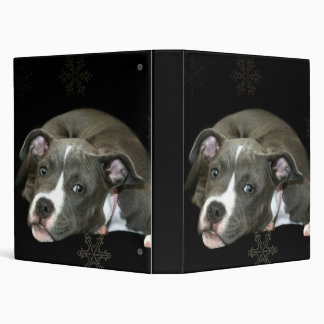 Blue pitbull puppy binder