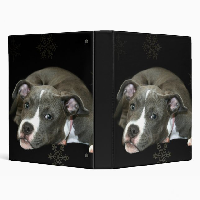 Blue pitbull puppy binder (Background)