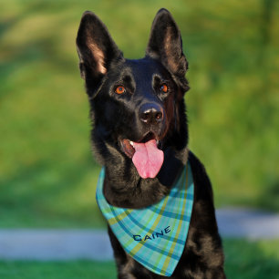 Blue Plaid by Shirley Taylor Pet Bandana Collar