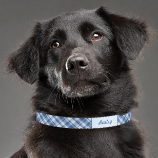 Blue Plaid Pattern With Custom Pet Name Collar