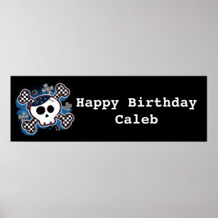 Blue Plaid Skull & Bones Birthday Party Banner Poster