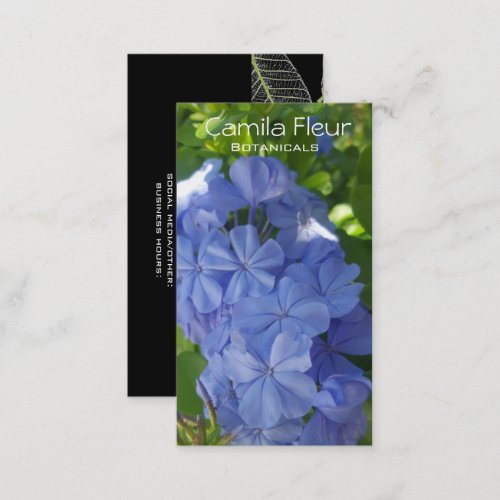 Blue plumbago botanical business card