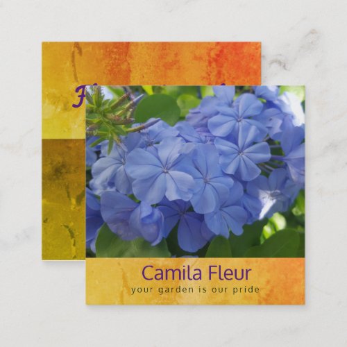 Blue plumbago botanical business card