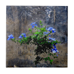 Blue Plumbago Ceramic Tile
