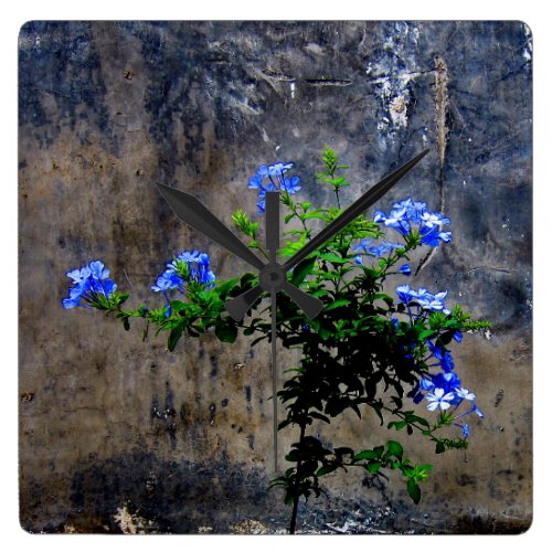 Blue Plumbago Flower Square Wall Clock
