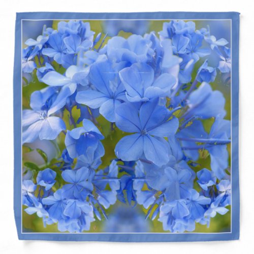 Blue Plumbago Summer Floral Photography Sky Flower Bandana